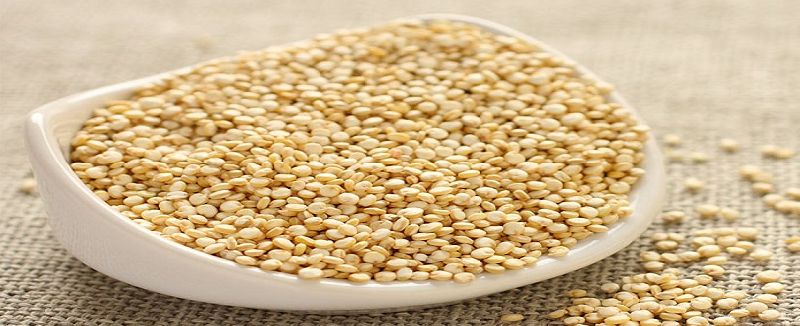 Quinoa Seeds