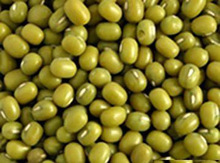 Green Moong Bean