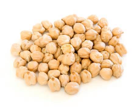 Kabuli Chickpea