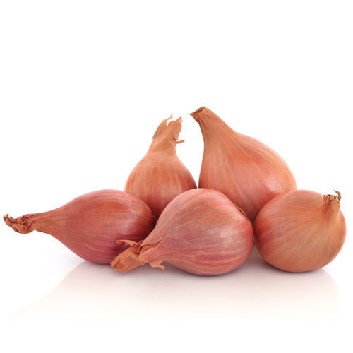 Natural Fresh Shallot Onion, for Cooking, Enhance The Flavour, Human Consumption, Packaging Type : Jute Bags