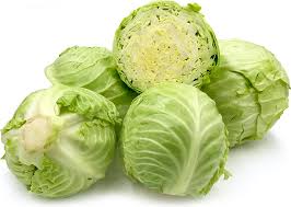 fresh cabbage