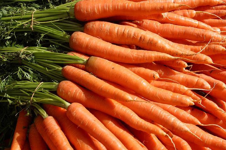 Organic/ Non Organic Fresh Carrot