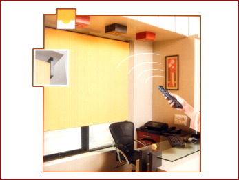 remote curtain control system