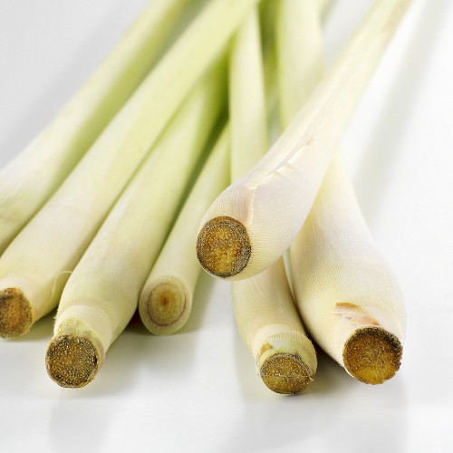 Lemongrass