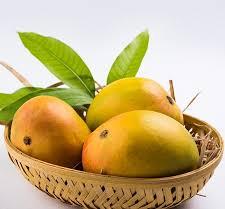 fresh mangoes