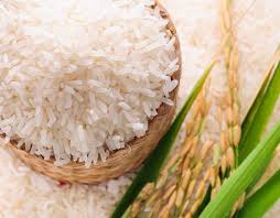 1509 Steam Long Grain Basmati Rice