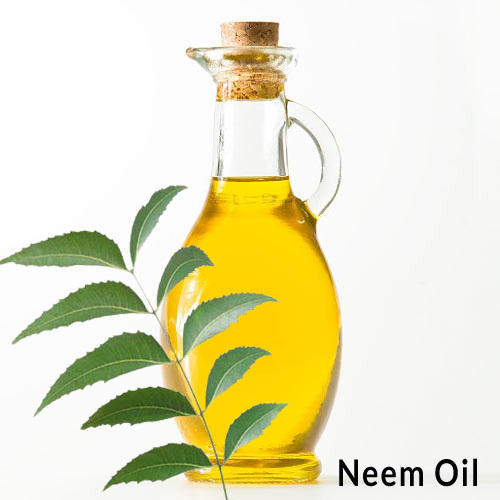 Pure Neem Medicinal Oil