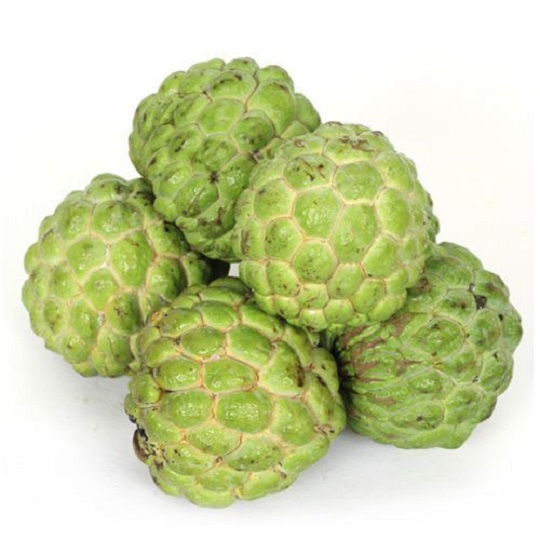 Organic Fresh Custard Apple, Packaging Type : Packed in good quality boxes