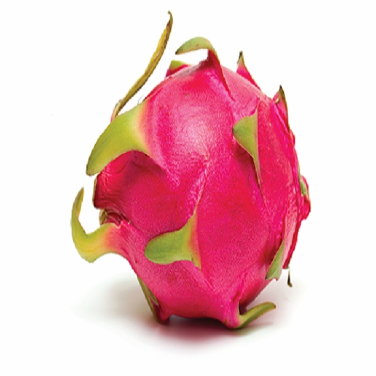 Organic Fresh Dragon Fruit, Packaging Type : Packed in good quality boxes