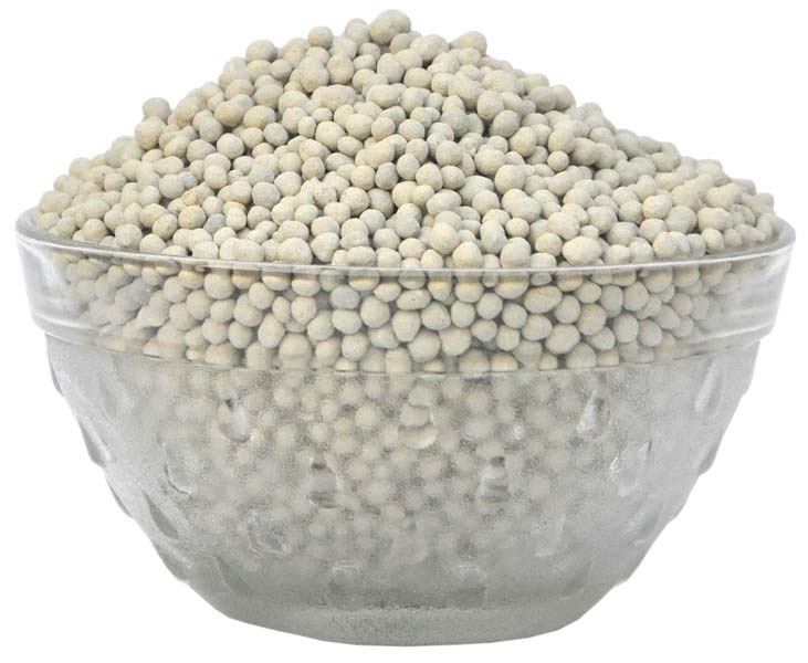 CMS GRANULES