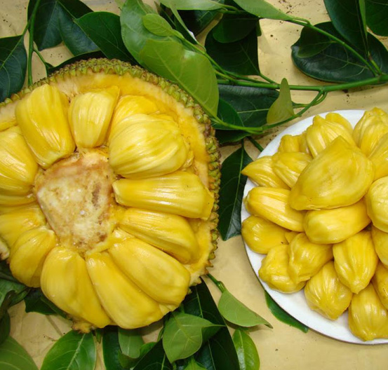 Organic Fresh Jackfruit