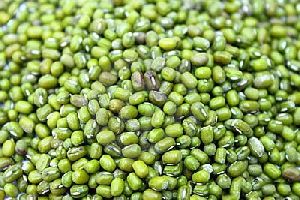 Organic green mung beans