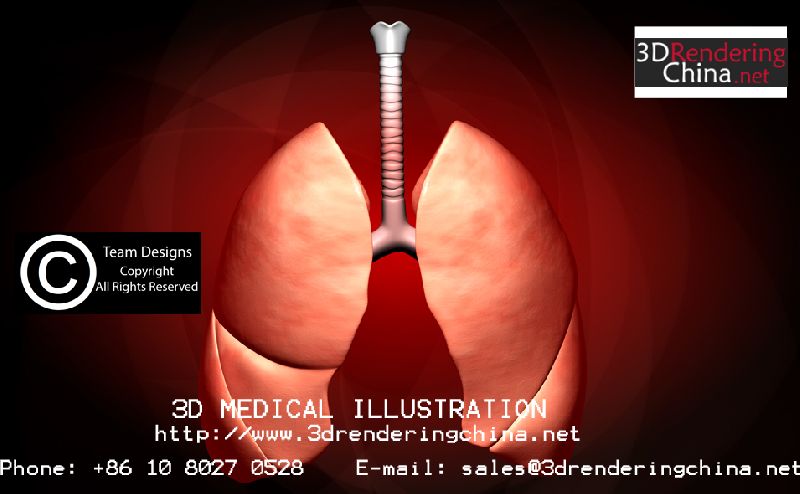 Services - 3d medical animation services from Beijing China by 3D Rendering China | ID - 3791020 Services - 3d medical animation services from Beijing China by 3D Rendering China | ID - 3791020