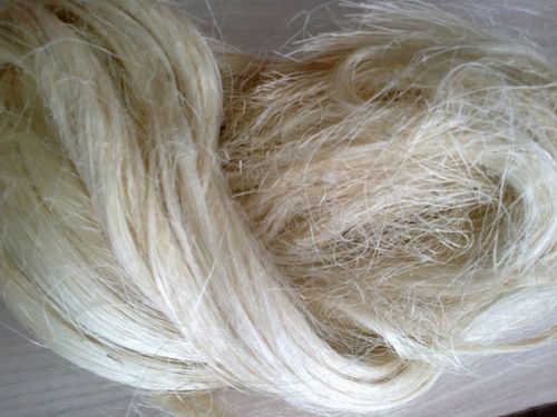 Sisal Fibre by Browar Lomza, sisal fibre, USD 900 / Metric Ton ( Approx ) |  ID - 3819533