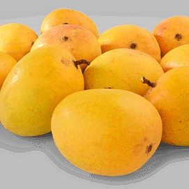 Organic alphonso mango