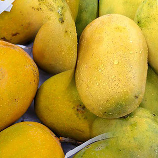Organic Himayat Mango
