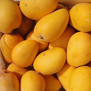 Organic Rasalu Mango