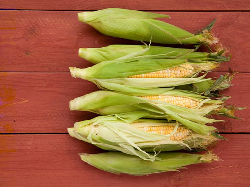 Organic Whole Yellow Corn