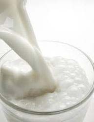 Starch For Dairy Products