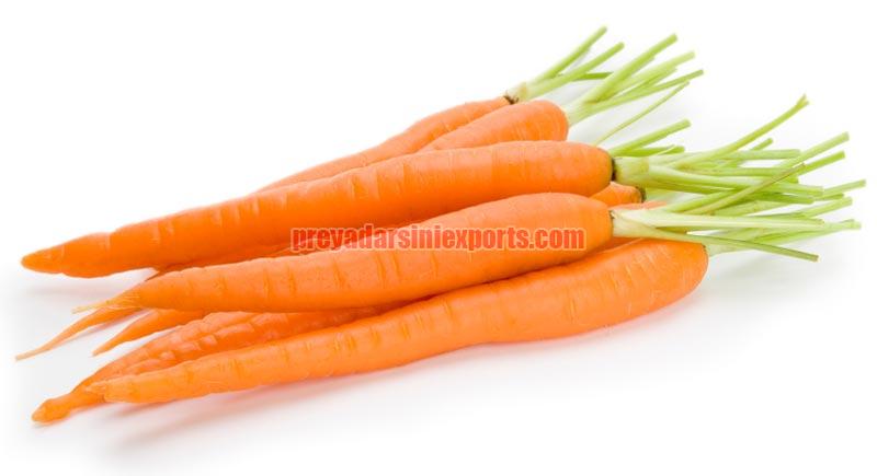 Natural Fresh Carrot, for Food, Juice, Pickle, Snacks, Style : Frozen