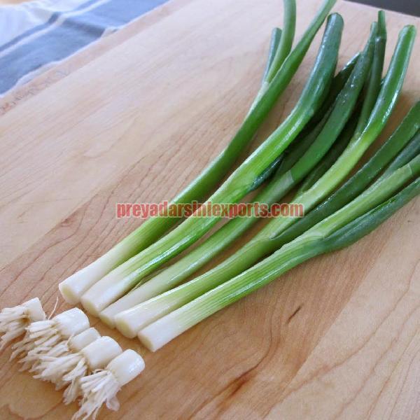 Natural Fresh Scallion Onion, Packaging Type : Net Bags, Plastic Bags