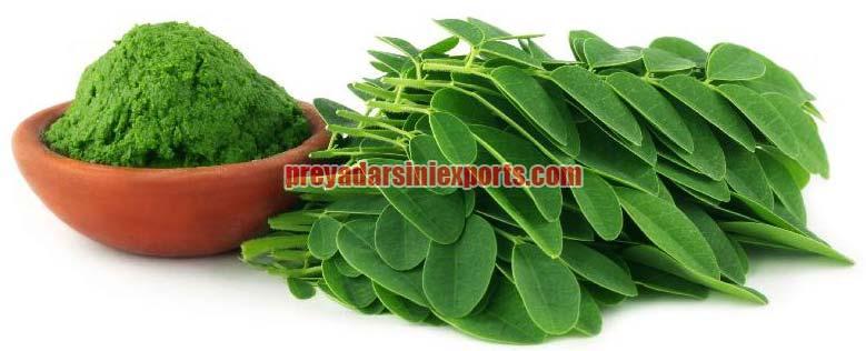 Organic Moringa Leaf Powder, for Cosmetics, Medicines Products, Style : Dried