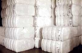 Cotton Bales