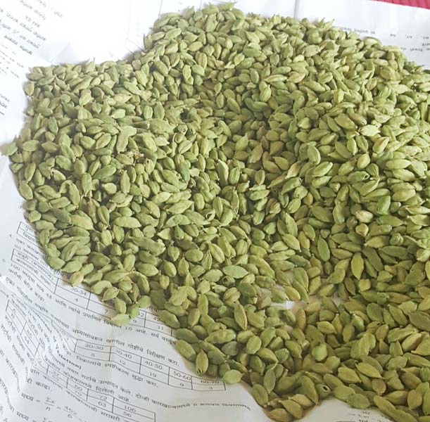 GREEN CARDAMOM 7MM