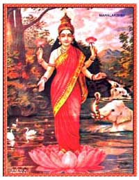 Lakshmi Mata Sticker