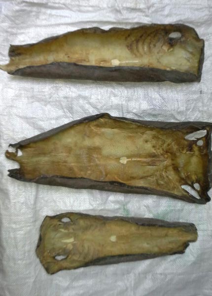 Dried Fish Skin