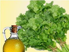 Coriander Oil