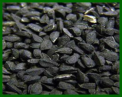 Black Cumin