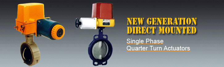 QT (Quarter Turn Actuators)