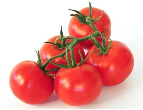 General Fresh Tomato