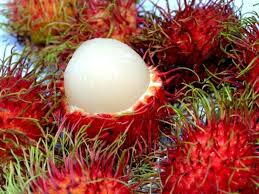 Organic Rambutan, for Cooking, Food Medicine, Cosmetics, Human Consumption, Color : Red