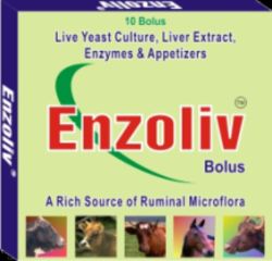 Veterinary Appetizer Bolus