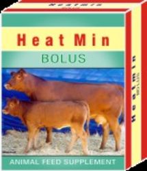 Heat Min Bolus