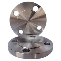 Stainless Steel Blind Flange