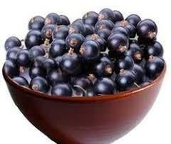 Acai Berry