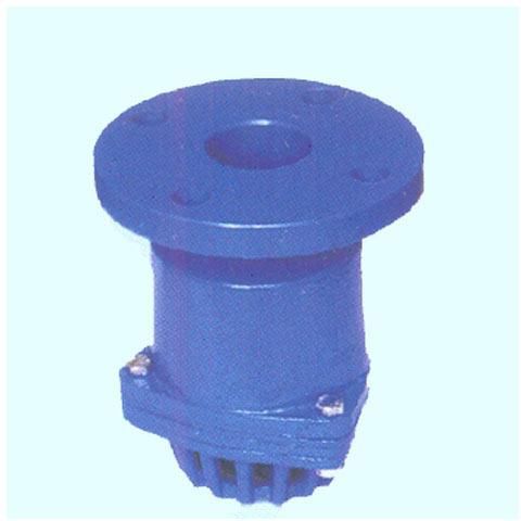 Foot Valves