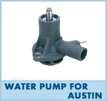 Water Pump For Austin