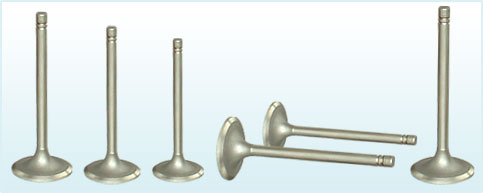 Engine Valves