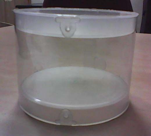 Cylindrical Box