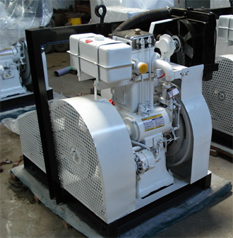 Diesel Engine Generator Set