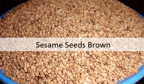 Sesame seeds