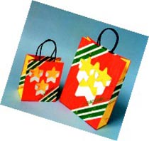 Printed Carry Bags Cb-02