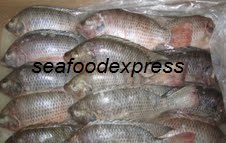 Seafood Express Tilapia Fish
