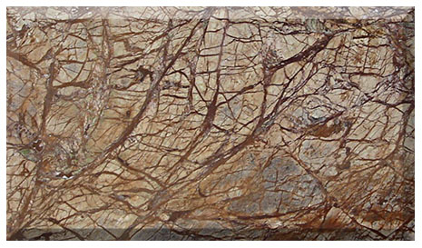 Rainforest Brown Marble