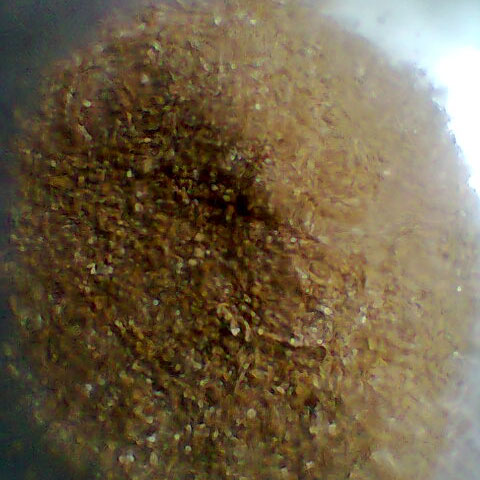 Exfoliated Vermiculite, for Agriculture, Form : Crystal