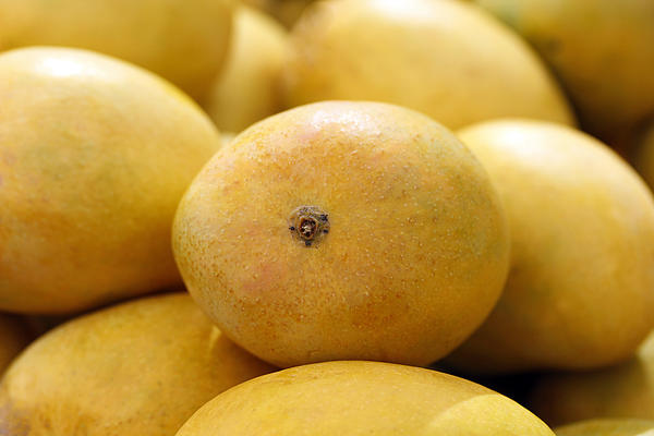 Fresh  Mangoes